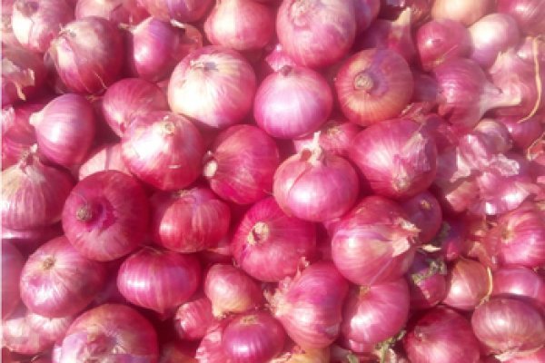 BlackSprutruzxpnew4af onion ссылка