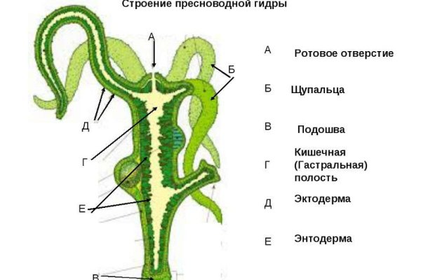 Как купить биткоины первый на блэкспрут