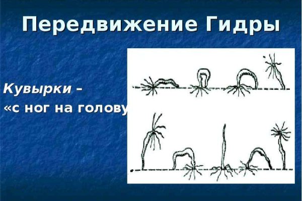 Kraken ссылка tor kraken ssylka onion com